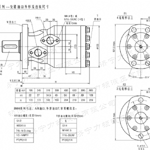 BMH系列交錯油口液壓馬達(dá)